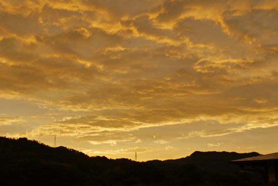 f0222692_19514575.jpg