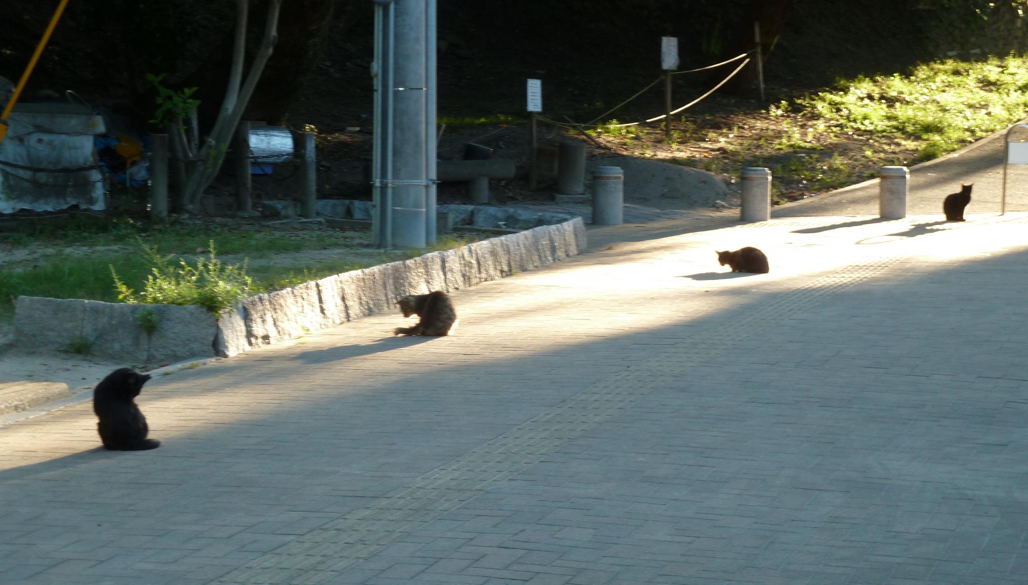 f0166694_22422622.jpg