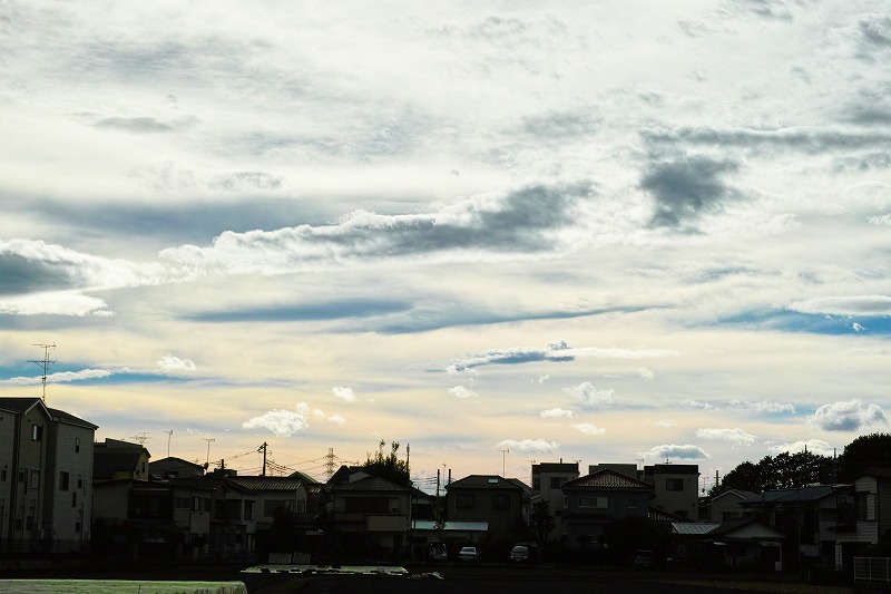 f0224100_2052589.jpg