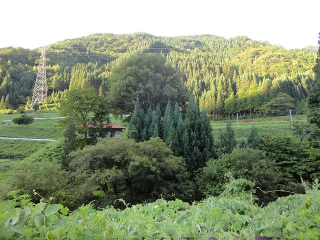 c0072801_2310774.jpg