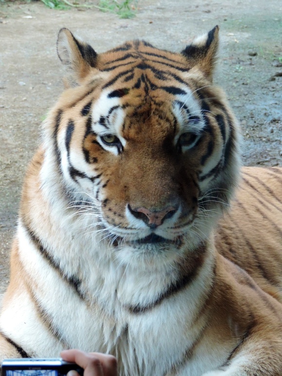 e0319302_18135410.jpg