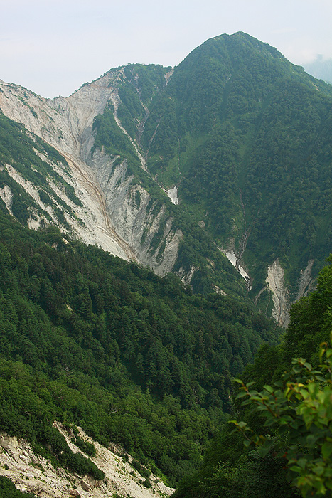 a0148606_17351424.jpg