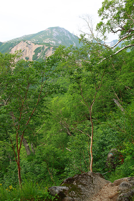 a0148606_17352969.jpg