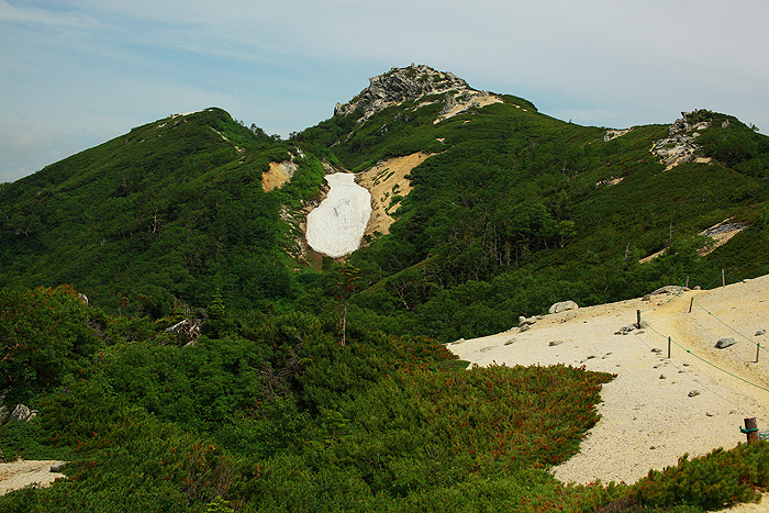 a0148606_1737161.jpg