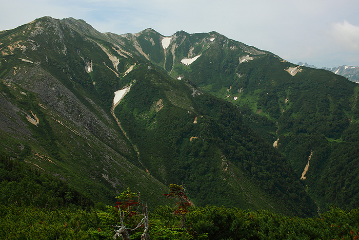 a0148606_17374974.jpg