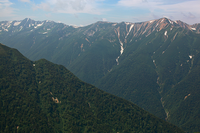 a0148606_1743651.jpg