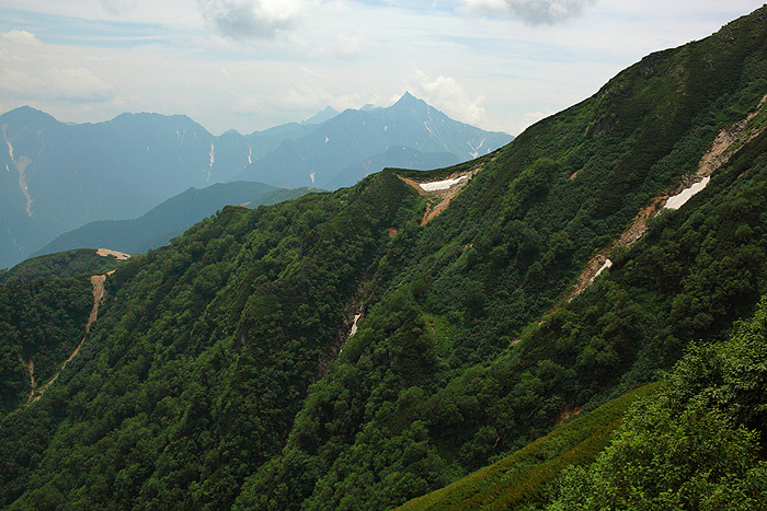 a0148606_174874.jpg