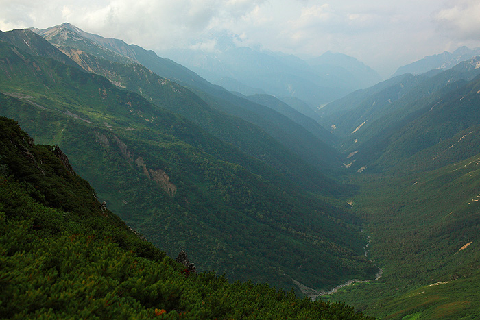 a0148606_1817473.jpg