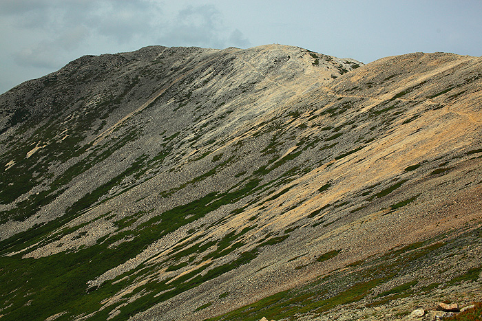 a0148606_1875961.jpg