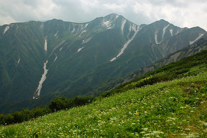 a0148606_1895081.jpg