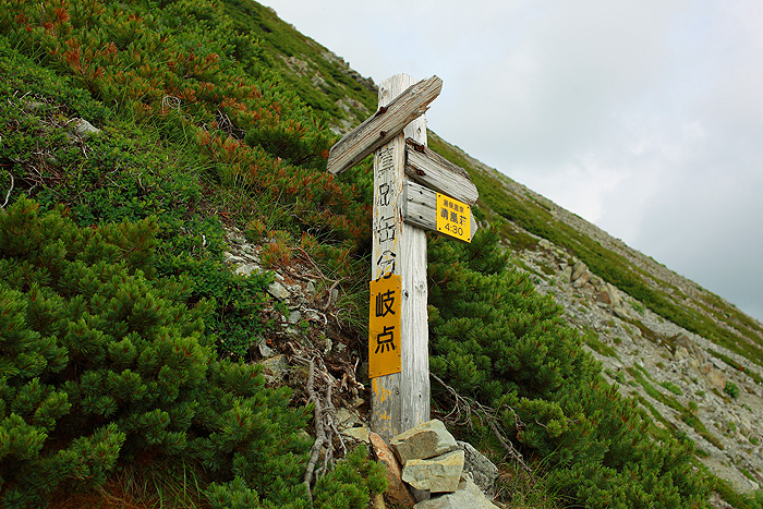 a0148606_189887.jpg