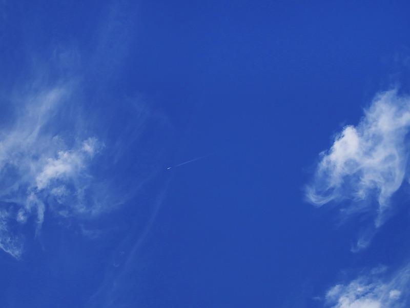 b0069507_73176.jpg
