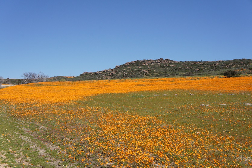 b0112909_22575540.jpg