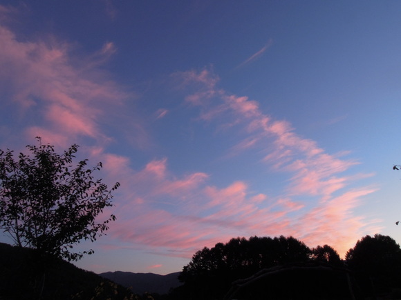 e0242423_1644279.jpg