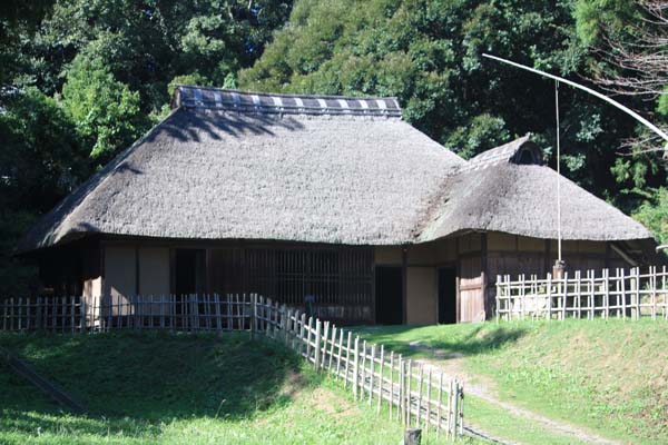 f0147025_16321527.jpg