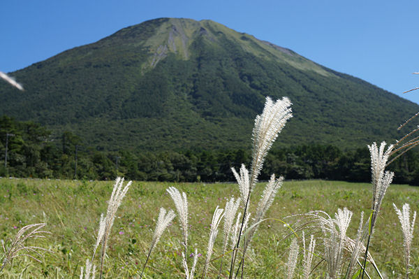 f0007926_140167.jpg