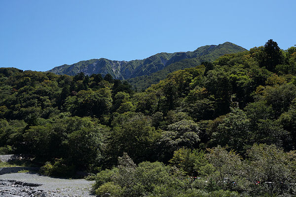 f0007926_141748.jpg