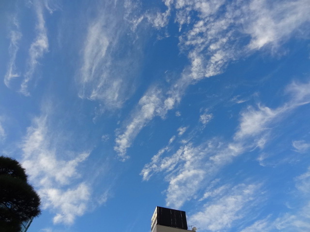e0016828_11475612.jpg