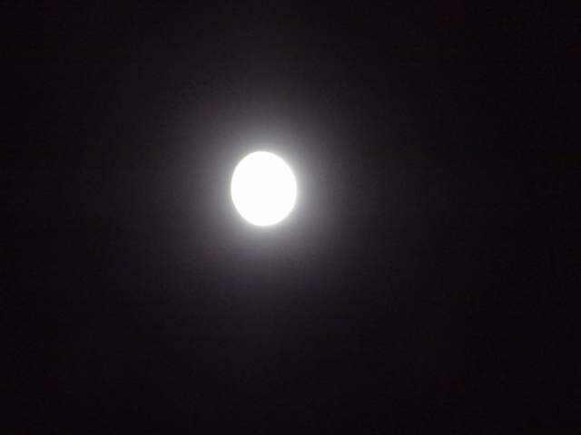 e0016828_12265673.jpg