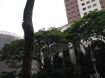 c0103830_19122146.jpg