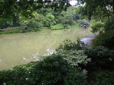 c0103830_191614.jpg