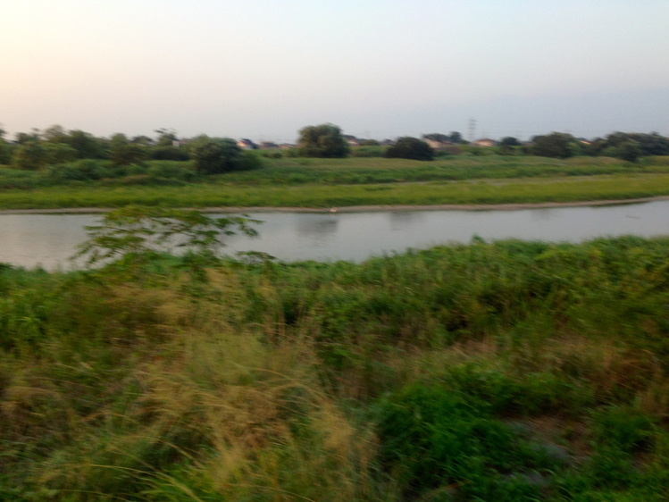 d0013834_11163574.jpg