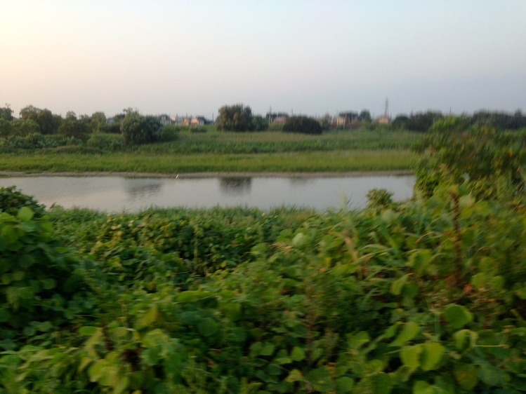 d0013834_11164258.jpg