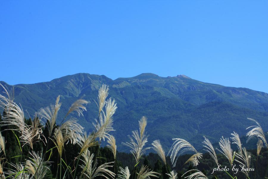 f0297537_1804147.jpg