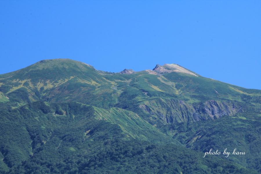 f0297537_1812666.jpg