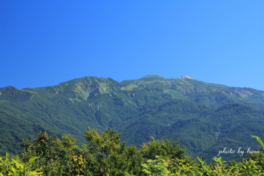 f0297537_18177.jpg