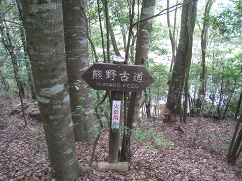 c0077338_5401074.jpg
