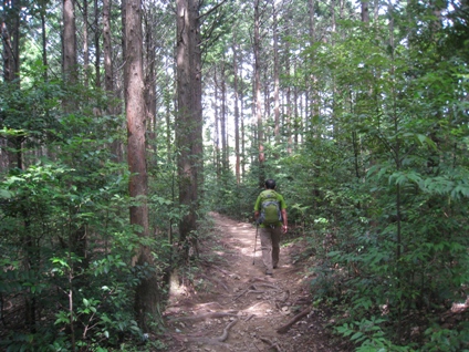 c0077338_5402858.jpg