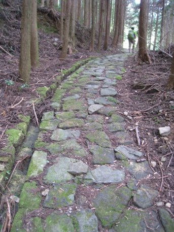 c0077338_545498.jpg