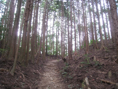 c0077338_5475637.jpg