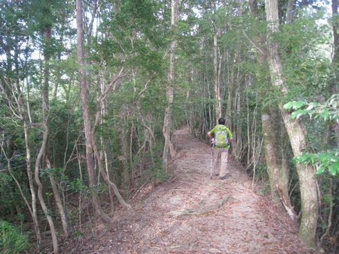 c0077338_5514527.jpg