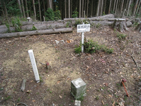c0077338_551536.jpg
