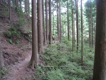 c0077338_5524166.jpg