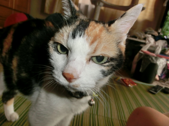 c0194042_226738.jpg