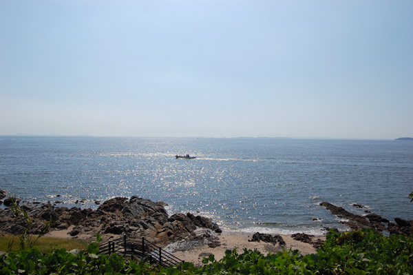 d0164443_2032739.jpg