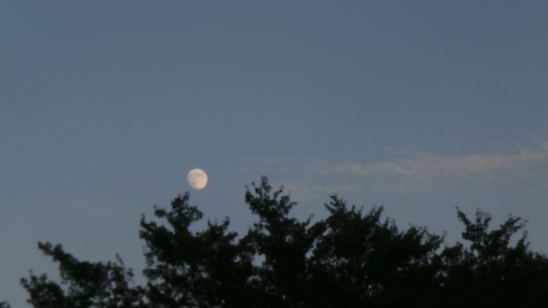 e0121548_14135590.jpg