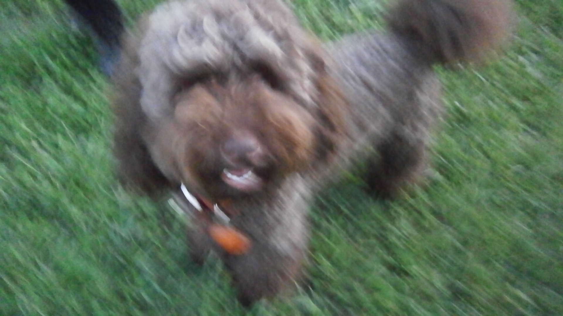 e0121548_14491995.jpg