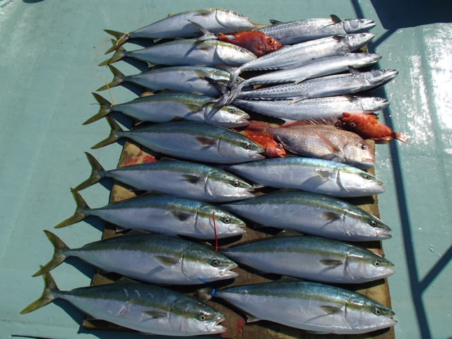 a0248152_16555465.jpg