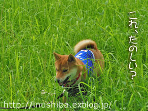 a0286855_97359.jpg