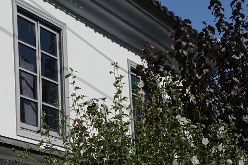 c0294658_231514.jpg