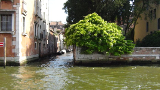 c0076764_5334862.jpg