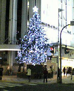 c0100865_1051919.jpg