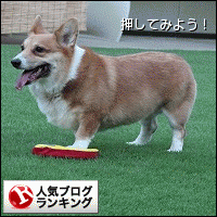 人気ブログランキングへ