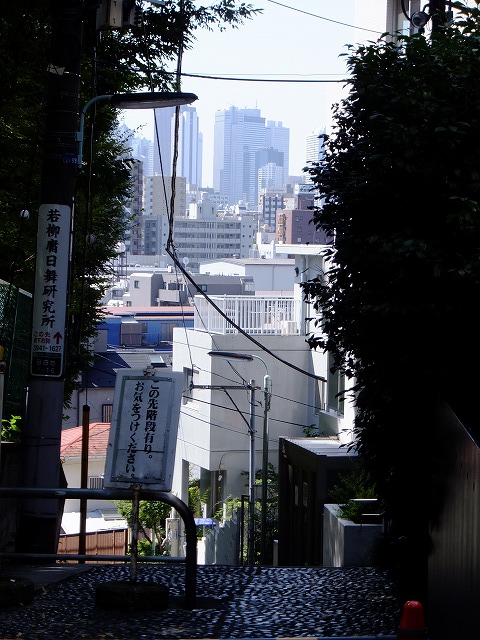 e0078069_1242920.jpg
