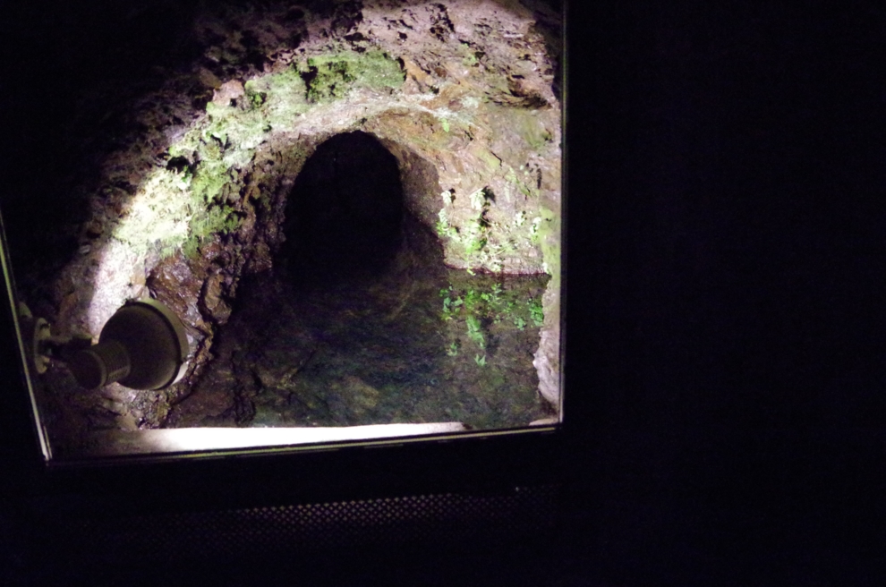 d0031171_1350323.jpg