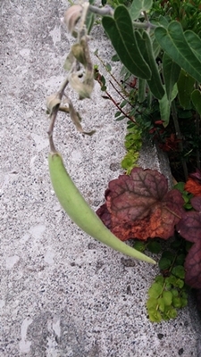 c0222474_17565578.jpg
